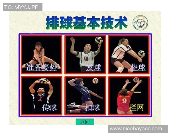 南京排球队反击战术解析与深度剖析排球竞技的魅力与挑战 南京排球队反击战术解析与深度剖析排球竞技的魅力与挑战