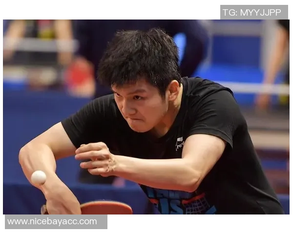 杭州乒乓球队在挑战赛中的耐力表现分析与点评