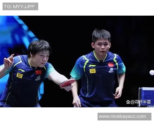 杭州篮球队心理素质分析与表现评估大满贯点评