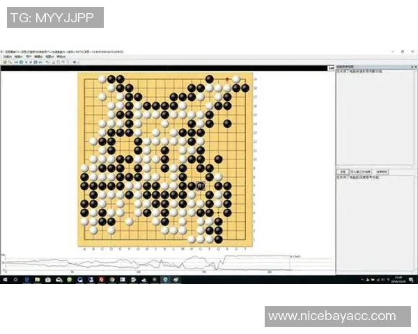 深圳足球队在精英赛中的战术分析与表现评估 深圳足球队在精英赛中的战术分析与表现评估