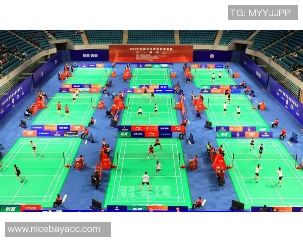 西安羽毛球队在全国羽毛球战术排行榜中荣获第九名的辉煌成就 西安羽毛球队在全国羽毛球战术排行榜中荣获第九名的辉煌成就