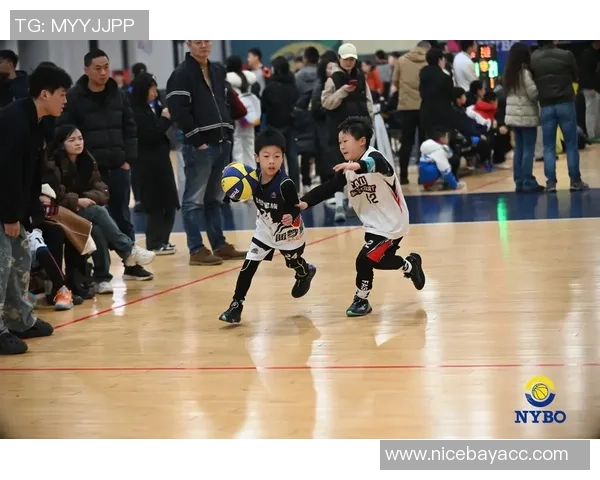 篮球纪实：记录武汉篮球队的成长故事