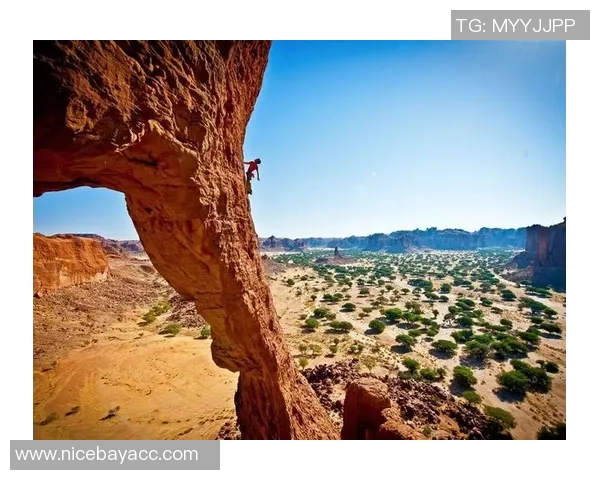 极限运动联赛积分榜：深圳攀岩队以83分领跑