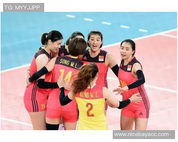 最新排球力量TOP10：武汉排球队领跑